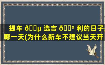 提车 🌵 选吉 🌺 利的日子是哪一天(为什么新车不建议当天开回去)